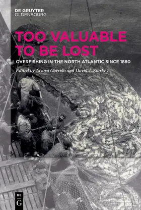 Garrido / Starkey | Too Valuable to be Lost | Buch | 978-3-11-063758-8 | sack.de