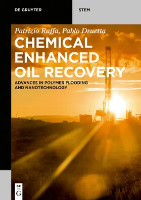 Raffa / Druetta | Chemical Enhanced Oil Recovery | E-Book | www.sack.de