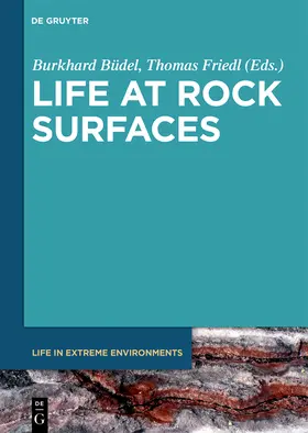 Friedl / Büdel |  Life at Rock Surfaces | Buch |  Sack Fachmedien