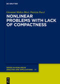 Molica Bisci / Pucci |  Nonlinear Problems with Lack of Compactness | eBook | Sack Fachmedien