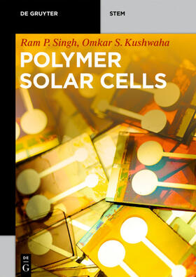 Singh / Kushwaha | Polymer Solar Cells | Buch | 978-3-11-065268-0 | sack.de