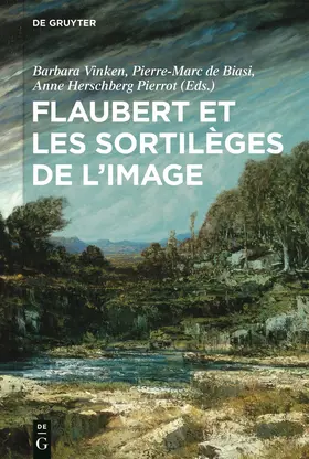 Vinken / Herschberg Pierrot / de Biasi |  Flaubert et les sortilèges de l'image | Buch |  Sack Fachmedien