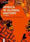 Falola / Salau |  Africa in Global History | eBook | Sack Fachmedien