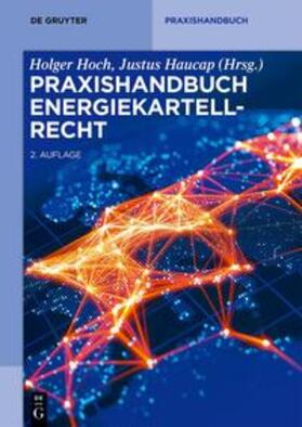 Hoch / Haucap | Praxishandbuch Energiekartellrecht | Buch | 978-3-11-068152-9 | sack.de