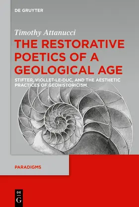 Attanucci |  The Restorative Poetics of a Geological Age | Buch |  Sack Fachmedien