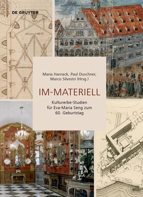 Harnack / Duschner / Silvestri | Im-Materiell | Buch | 978-3-11-070396-2 | sack.de