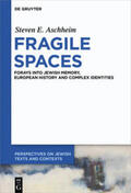 Aschheim |  Fragile Spaces | Buch |  Sack Fachmedien