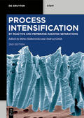 Skiborowski / Górak |  Process Intensification | Buch |  Sack Fachmedien