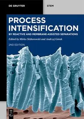 Skiborowski / Górak | Process Intensification | E-Book | sack.de