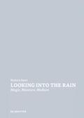 Baert |  Looking Into the Rain | Buch |  Sack Fachmedien