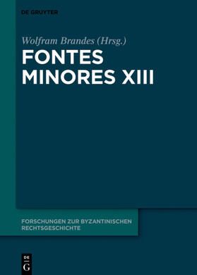 Brandes | Fontes Minores XIII | Buch | 978-3-11-072791-3 | sack.de