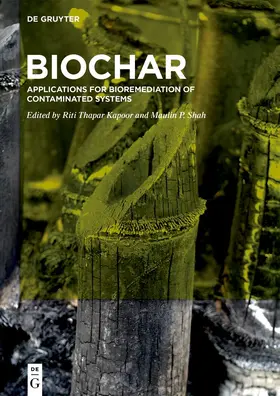 Thapar Kapoor / Shah |  BioChar | eBook | Sack Fachmedien