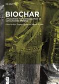 Thapar Kapoor / Shah |  BioChar | Buch |  Sack Fachmedien