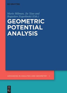 Milman / Xiao / Zegarlinski | Geometric Potential Analysis | Buch | 978-3-11-074167-4 | sack.de
