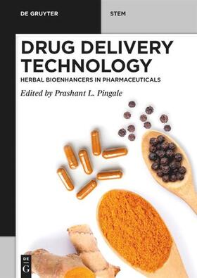 Pingale | Drug Delivery Technology | Buch | sack.de