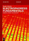 Michov |  Electrophoresis Fundamentals | Buch |  Sack Fachmedien