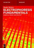 Michov |  Electrophoresis Fundamentals | eBook | Sack Fachmedien