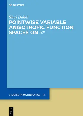 Dekel |  Pointwise Variable Anisotropic Function Spaces on Rn | Buch |  Sack Fachmedien
