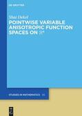 Dekel |  Pointwise Variable Anisotropic Function Spaces on Rn | eBook | Sack Fachmedien
