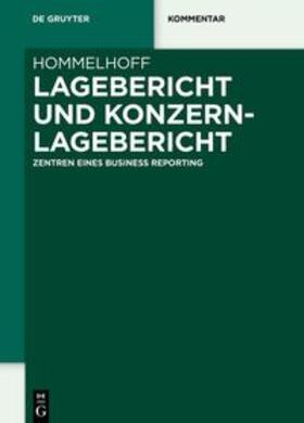 Hommelhoff |  Hommelhoff, P: Lagebericht und Konzernlagebericht | Buch |  Sack Fachmedien