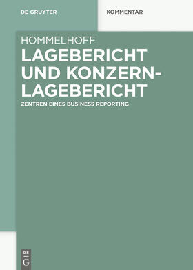 Hommelhoff |  Lagebericht und Konzernlagebericht | eBook | Sack Fachmedien