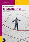 Hellmann |  IT-Sicherheit | Buch |  Sack Fachmedien