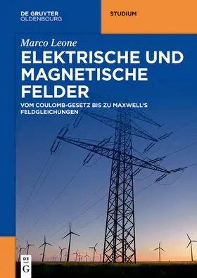 Leone |  Elektrische und magnetische Felder | Buch |  Sack Fachmedien