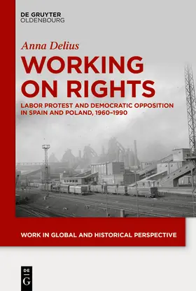 Delius | Working on Rights | Buch | 978-3-11-076885-5 | www.sack.de