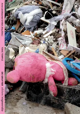 Lerchbaumer / Jörg |  Toxic Temple | Buch |  Sack Fachmedien