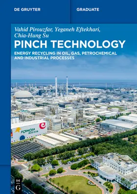 Pirouzfar / Su / Eftekhari |  Pinch Technology | Buch |  Sack Fachmedien