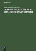 Gladstone / Wheeler / Rojot |  Labour Relations in a Changing Environment | eBook | Sack Fachmedien