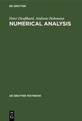 Deuflhard / Hohmann |  Numerical Analysis | eBook | Sack Fachmedien