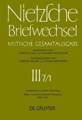Müller-Buck / Schmid / Miller |  Briefe von und an Friedrich Nietzsche Januar 1880 - Dezember 1884 | eBook | Sack Fachmedien