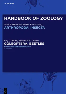 Beutel / Leschen |  Volume 1: Morphology and Systematics (Archostemata, Adephaga, Myxophaga, Polyphaga partim) | eBook | Sack Fachmedien