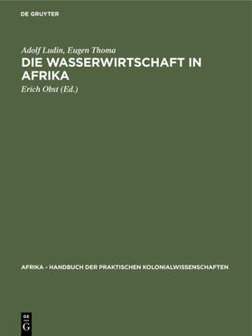 Ludin / Thoma / Obst | Die Wasserwirtschaft in Afrika | Buch | 978-3-11-106999-9 | sack.de