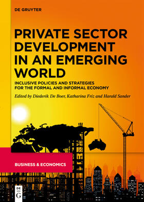 de Boer / Boer / Sander | Private Sector Development in an Emerging World | Buch | sack.de