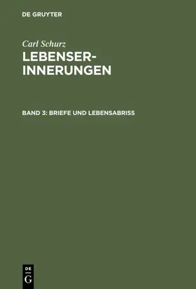 Schurz |  Briefe und Lebensabriß | Buch |  Sack Fachmedien