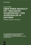 Rüger / Salomon-Calvi |  Über einen Granulit mit ¿Sekundärschieferung¿ von Auerswalde in Sachsen | Buch |  Sack Fachmedien