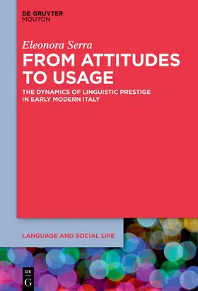 Serra |  From Attitudes to Usage | Buch |  Sack Fachmedien