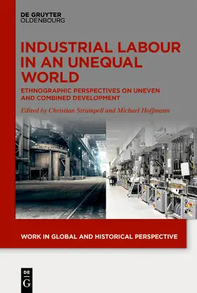 Strümpell / Hoffmann |  Industrial Labour in an Unequal World | Buch |  Sack Fachmedien