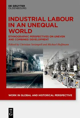 Strümpell / Hoffmann | Industrial Labour in an Unequal World | E-Book | www.sack.de