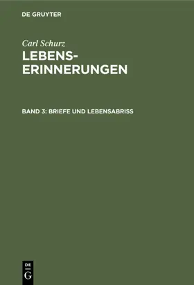 Schurz |  Briefe und Lebensabriß | Buch |  Sack Fachmedien