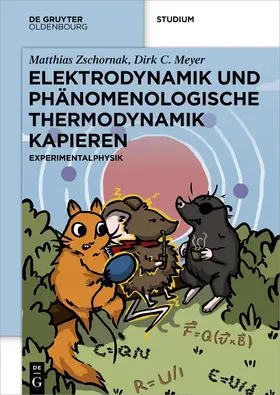 Zschornak / Meyer |  Elektrodynamik und Phänomenologische Thermodynamik Kapieren | Buch |  Sack Fachmedien