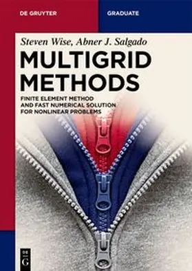 Wise / Salgado / Wong |  Multigrid Methods | Buch |  Sack Fachmedien