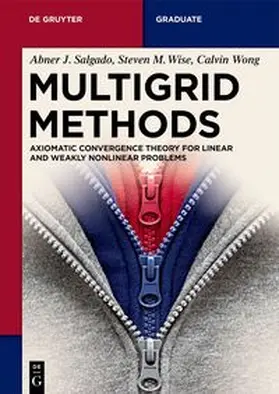 Salgado / Wise / Wong | Multigrid Methods | E-Book | www.sack.de