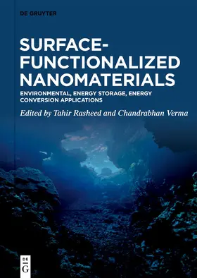 Rasheed / Verma |  Surface-Functionalized Nanomaterials | Buch |  Sack Fachmedien