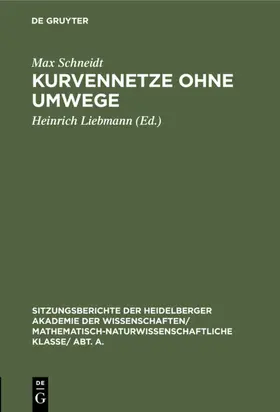 Schneidt / Liebmann |  Kurvennetze ohne Umwege | eBook | Sack Fachmedien