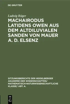 Rüger |  Machairodus latidens Owen aus dem altdiluvialen Sanden von Mauer a. d. Elsenz | eBook | Sack Fachmedien