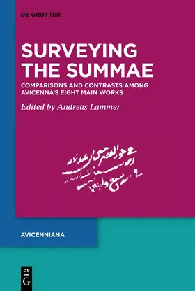 Lammer |  Surveying the Summae | Buch |  Sack Fachmedien