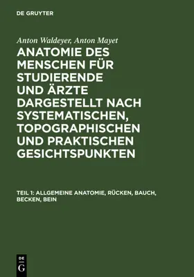 Waldeyer / Mayet | Allgemeine Anatomie, Rücken, Bauch, Becken, Bein | E-Book | www.sack.de